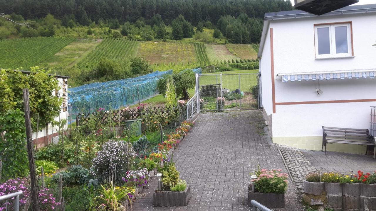 Zwei Ferienwohnungen "Im Weingarten " Burg  Exterior photo