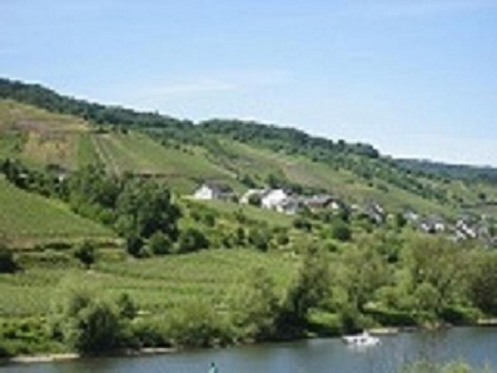Zwei Ferienwohnungen "Im Weingarten " Burg  Exterior photo